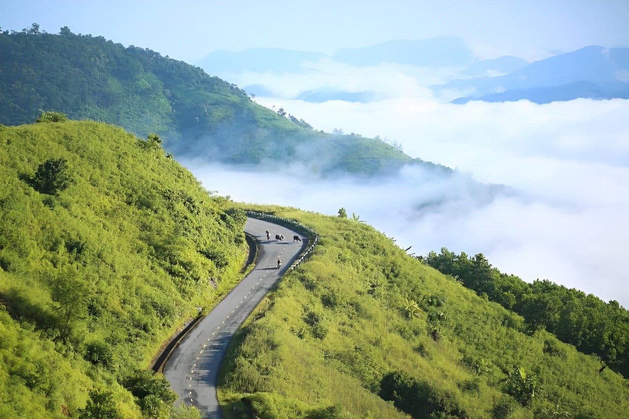 Super Saver Măng Đen 2-Day, 1-Night Tour: Cloud Hunting – Waterfall Viewing – Exploring Pine Forests