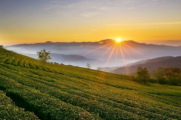 Tour de descubrimiento de las Tierras Altas Centrales: Hanói - Pleiku - Buon Ma Thuot 4 días y 3 noches