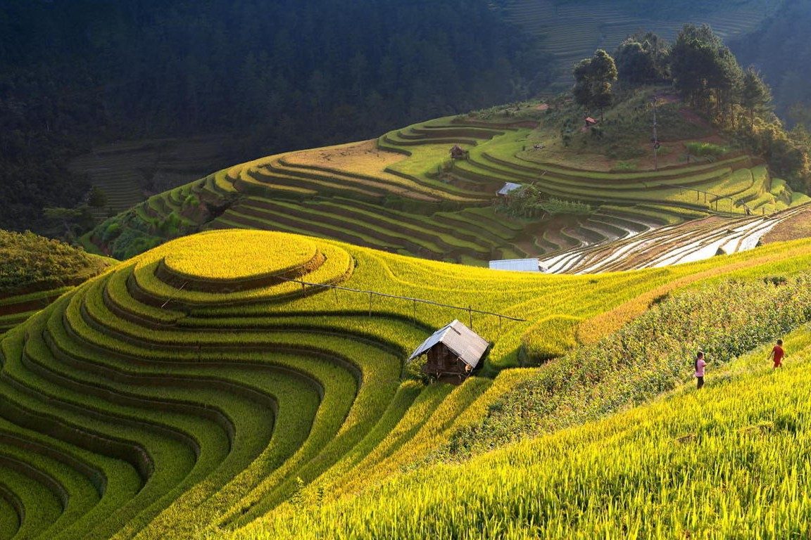 Tour Du Lịch Hà Giang 4 Ngày 3 Đêm: Điểm Đến Mơ Ước