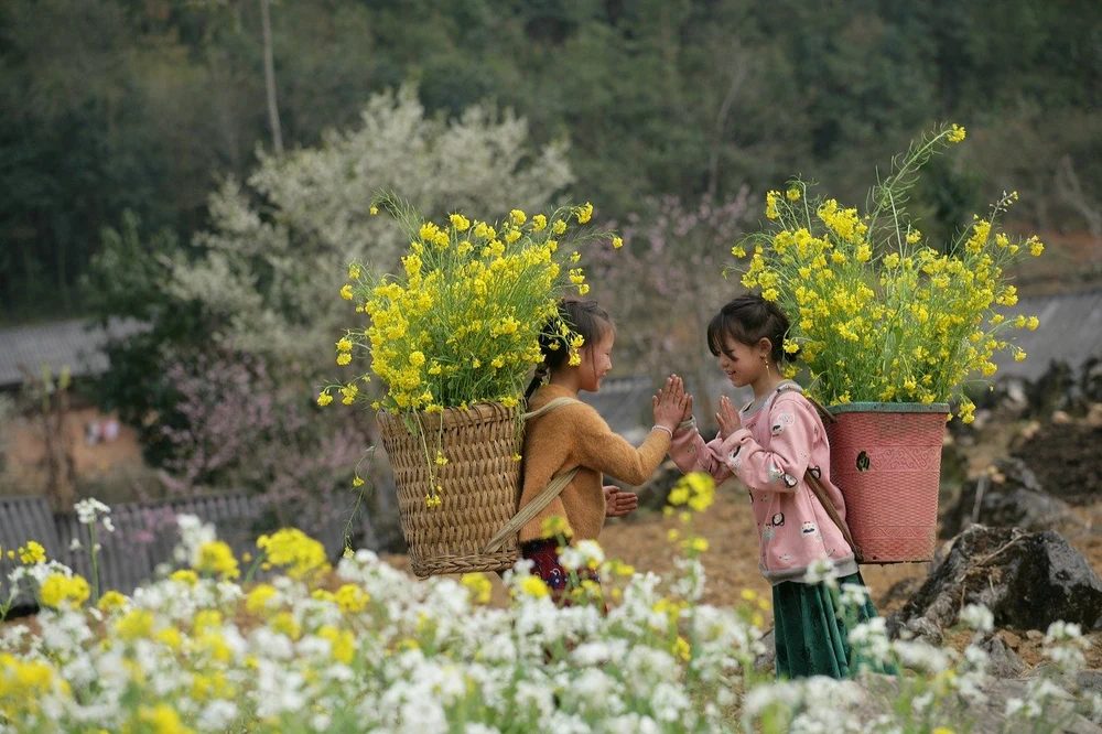 Pakej Lawatan Lingkaran Timur Laut 5 Hari 4 Malam: Hà Giang – Cao Bằng – Lạng Sơn