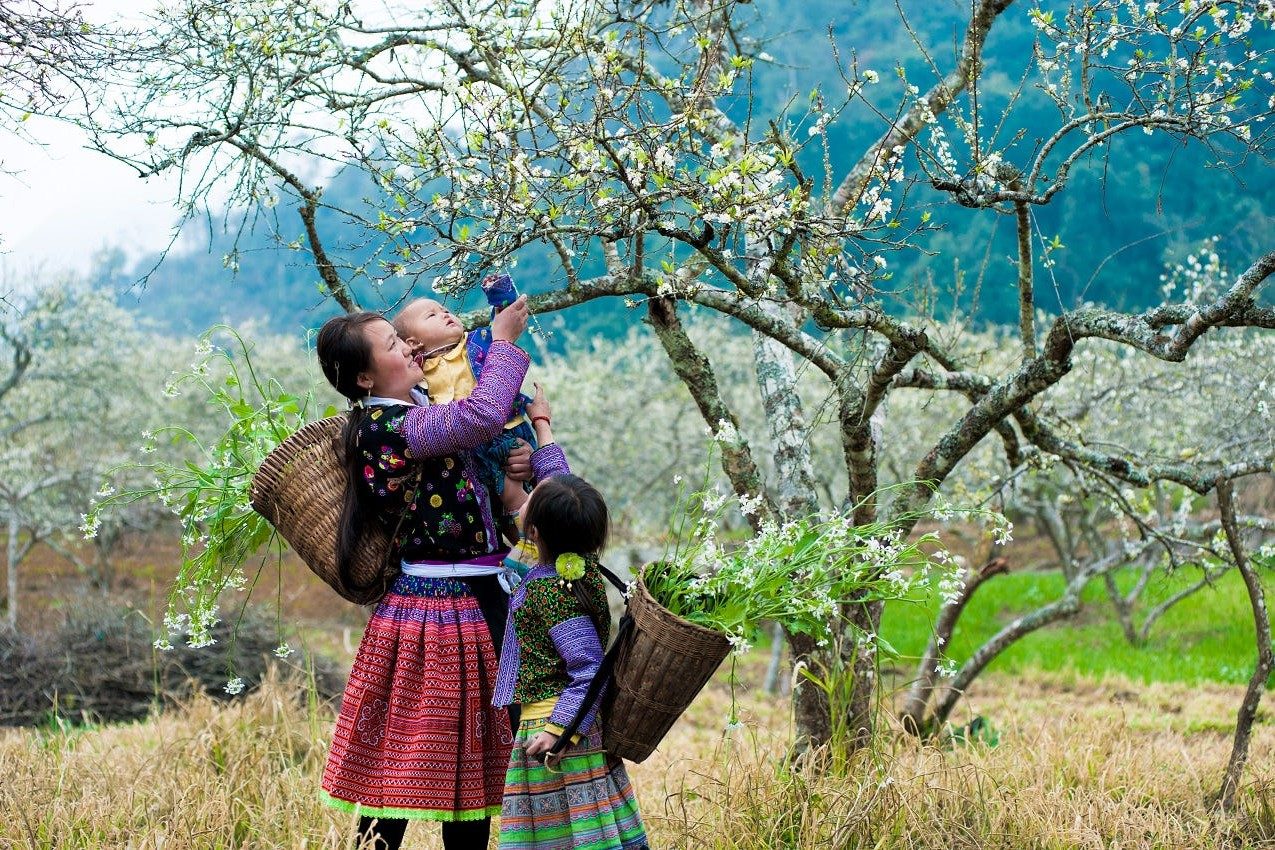 हवाई जहाज द्वारा 3 दिन 2 रात का डिएन बिएन पर्यटन टूर