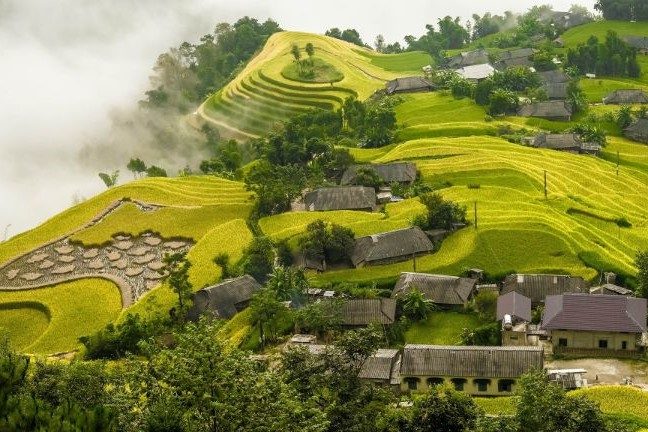 Tour Turistico Hà Giang 2N3Đ: Hoàng Su Phì – Stagione d'Oro sui Terreni a Gradoni