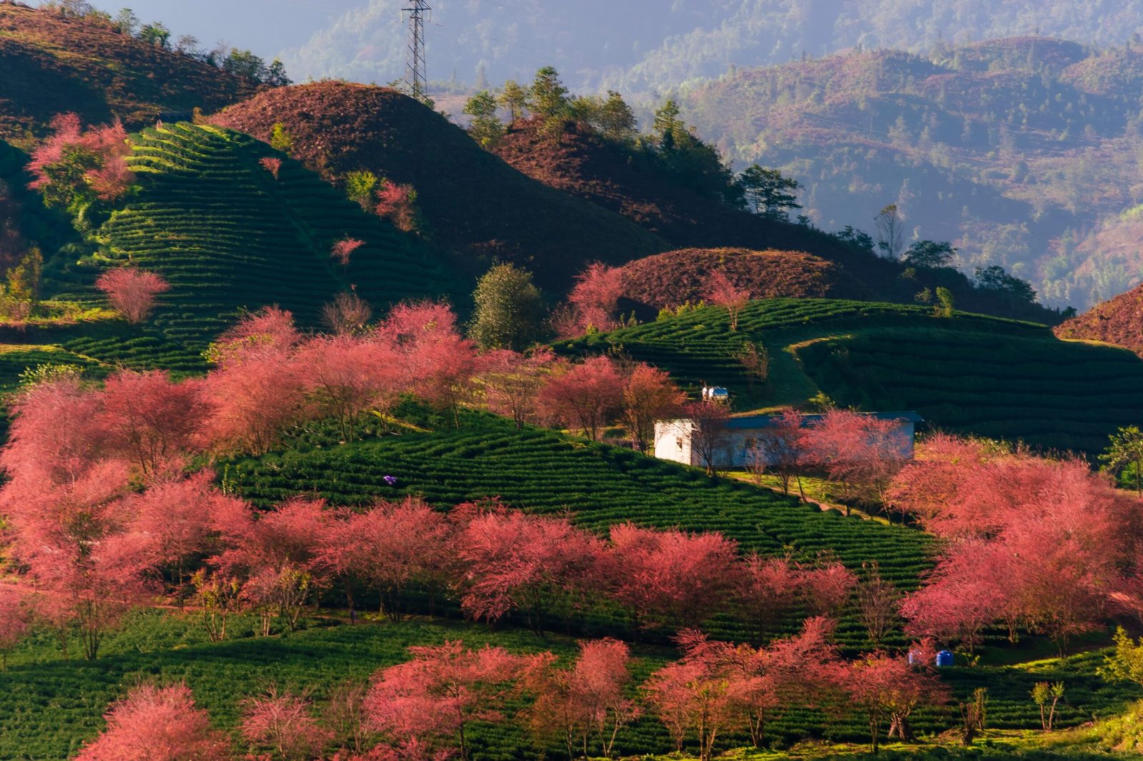 Điện Biên Lai Châu 5天4晚旅游团：神秘西北