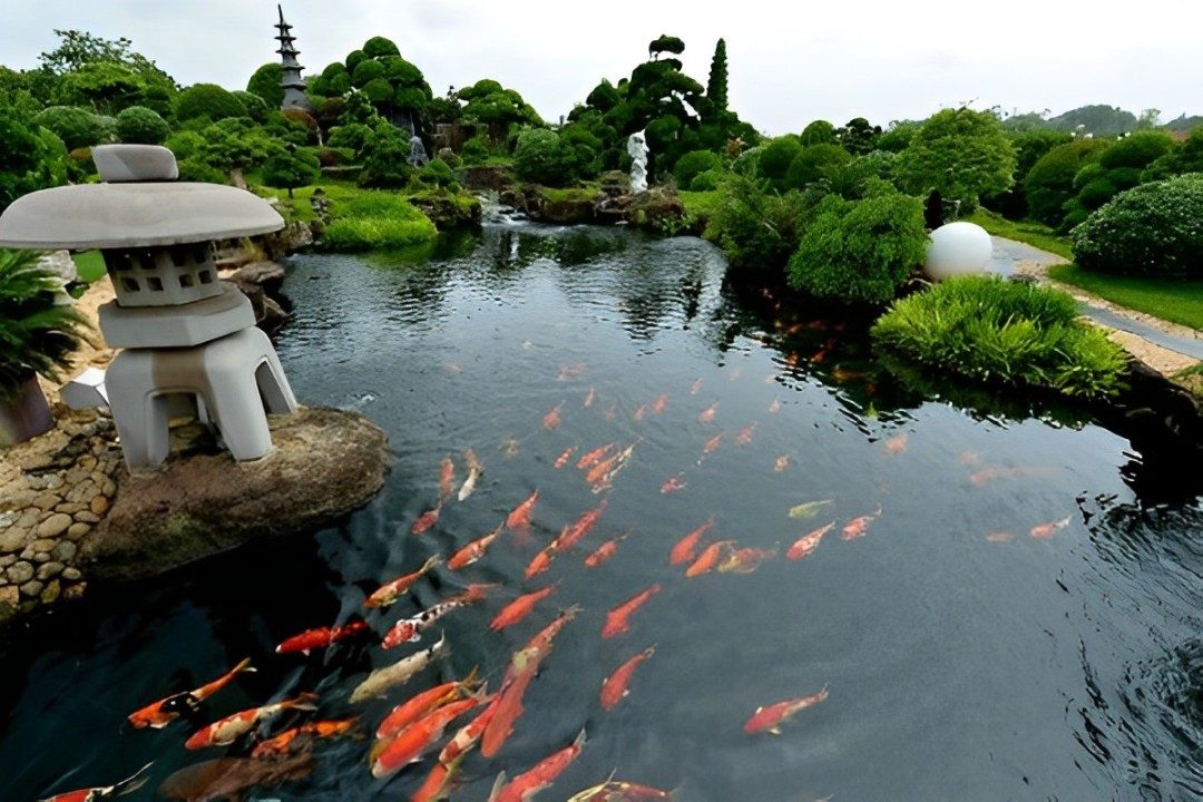 Tour di 1 giorno per vivere la bellezza di Dũng Tân, Thai Nguyen