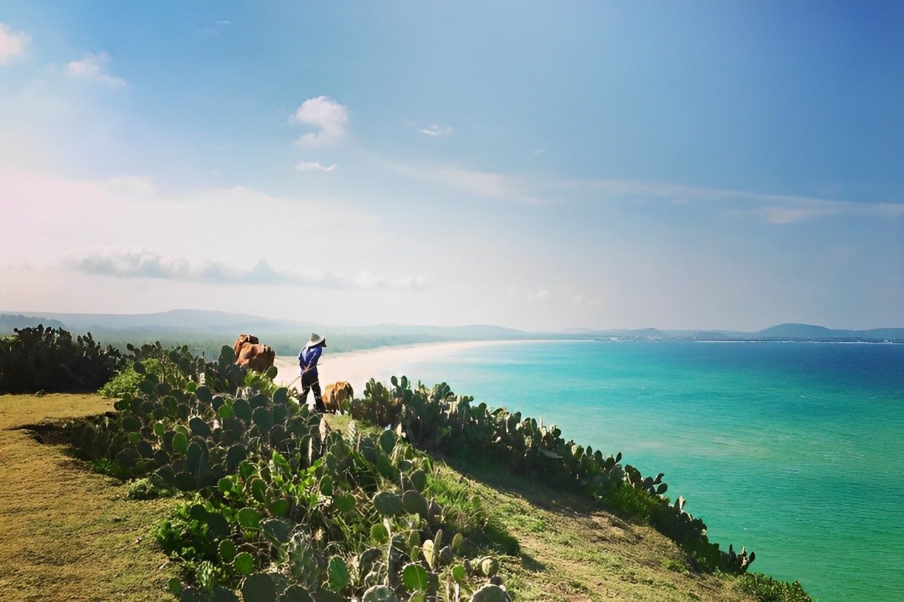 Tour Phú Yên Tết Nguyên Đán: Kỳ Nghỉ Trọn Vẹn Bên Biển Xanh