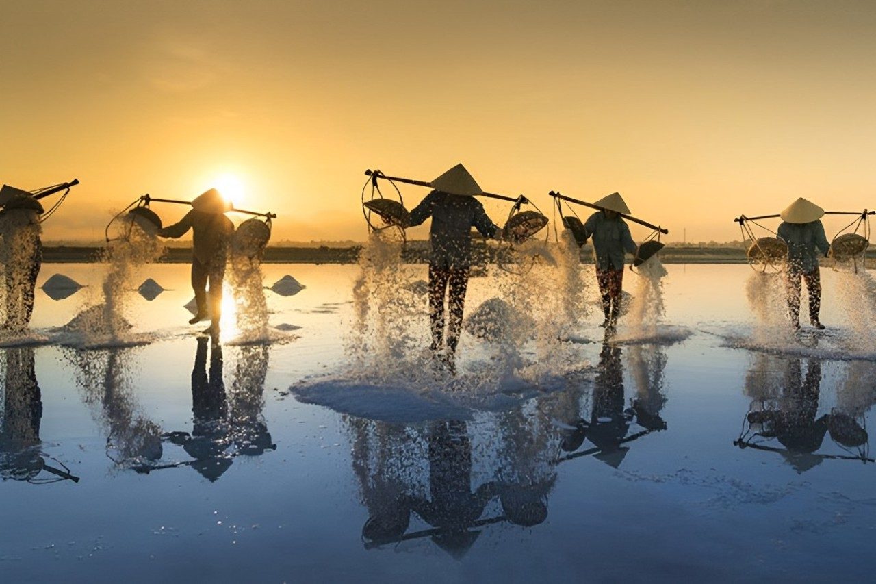 南定风景游：水上木偶戏 – 盐田 – 国家公园