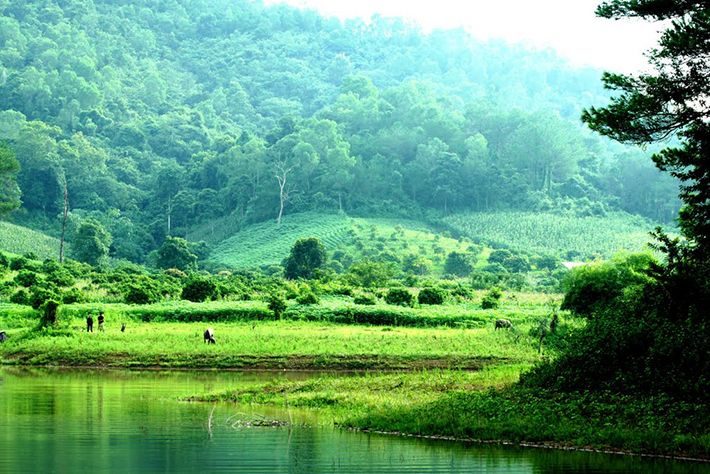 Circuit d’une journée à la découverte des vergers de Lục Ngạn et du lac Khuôn Thần à Bắc Giang