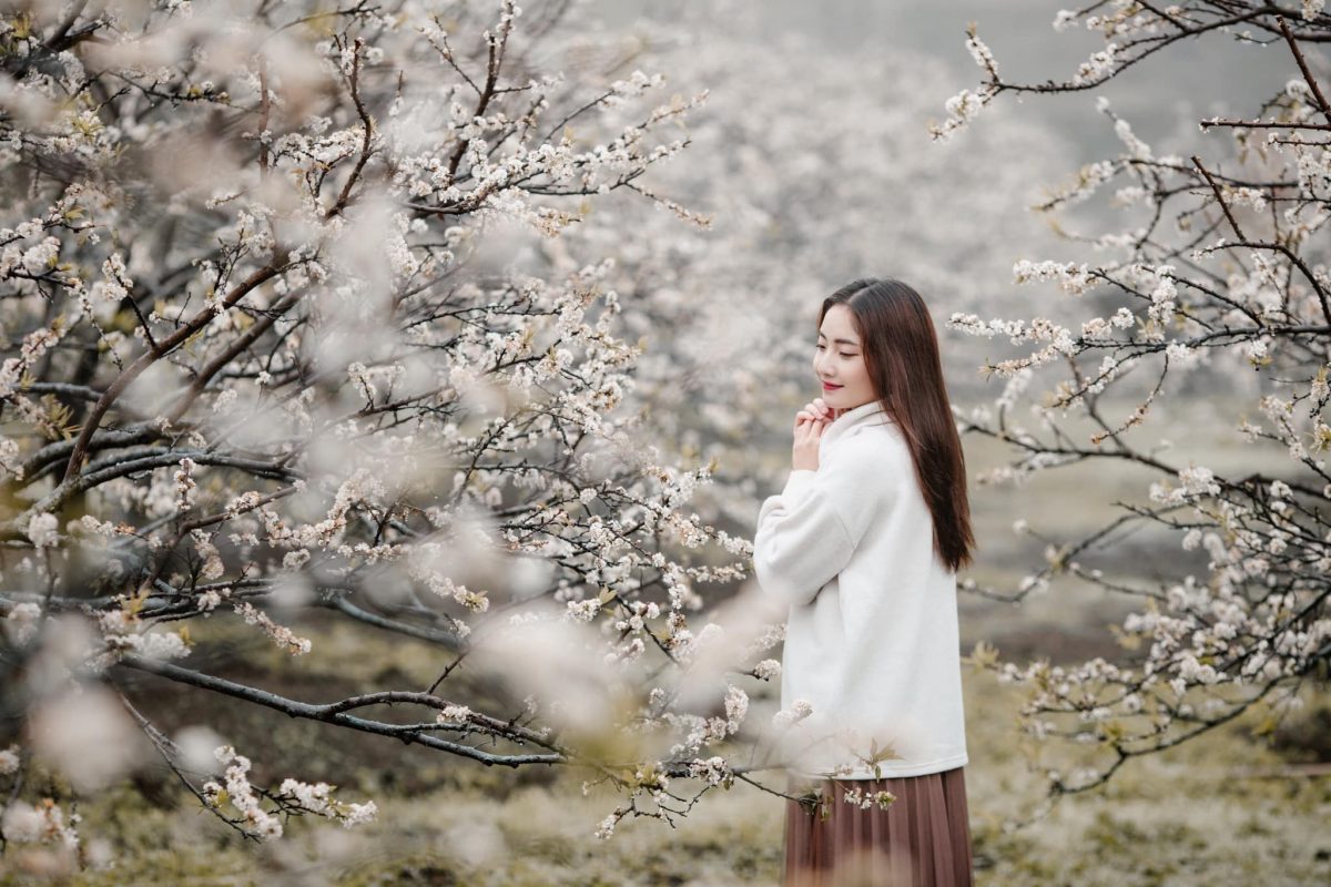 뚜옌꽝 1박 2일 관광 투어: 배꽃의 하얀빛