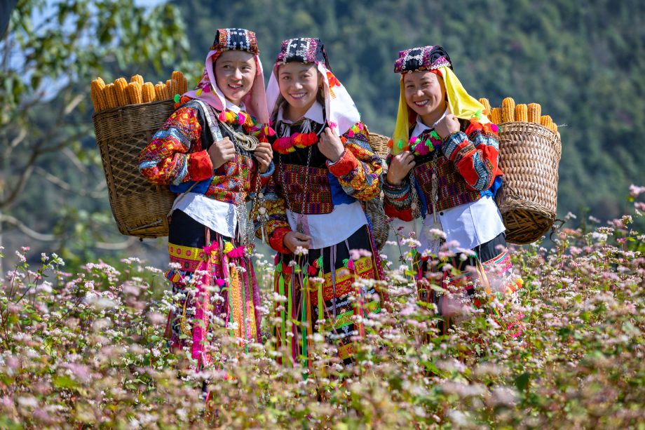 Sapa-Tour 2T1N: Dörfer entdecken, Berge und Wälder erobern