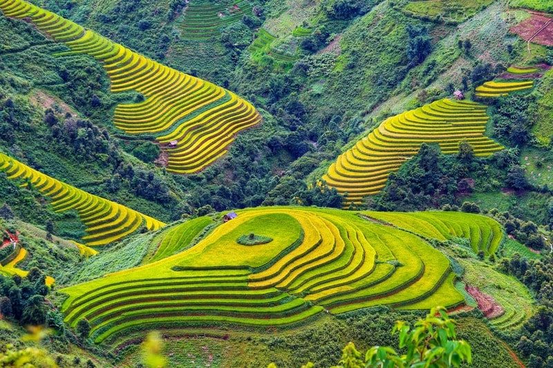 Tour zum Dorf Tả Phìn in Sapa 2 Tage 1 Nacht: Entdeckung der Kultur der Dao-Ethnie