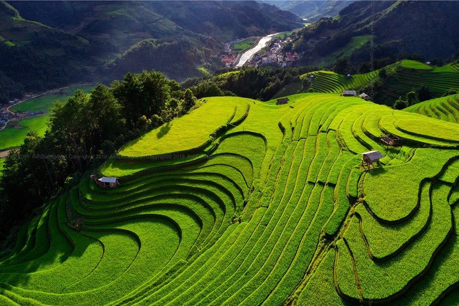 Tour Du Lịch Hà Nội – Yên Bái 3N2Đ: Nghĩa Lộ – Mù Cang Chải – Tú Lệ – Suối Giàng – Bay Dù Lượn
