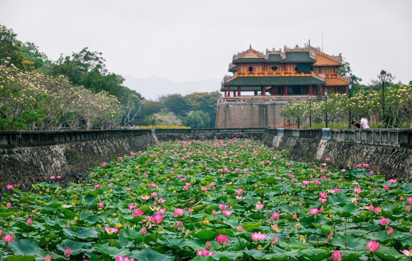 Tour Huế – Hội An 3 giorni 2 notti: i colori dell’antica capitale