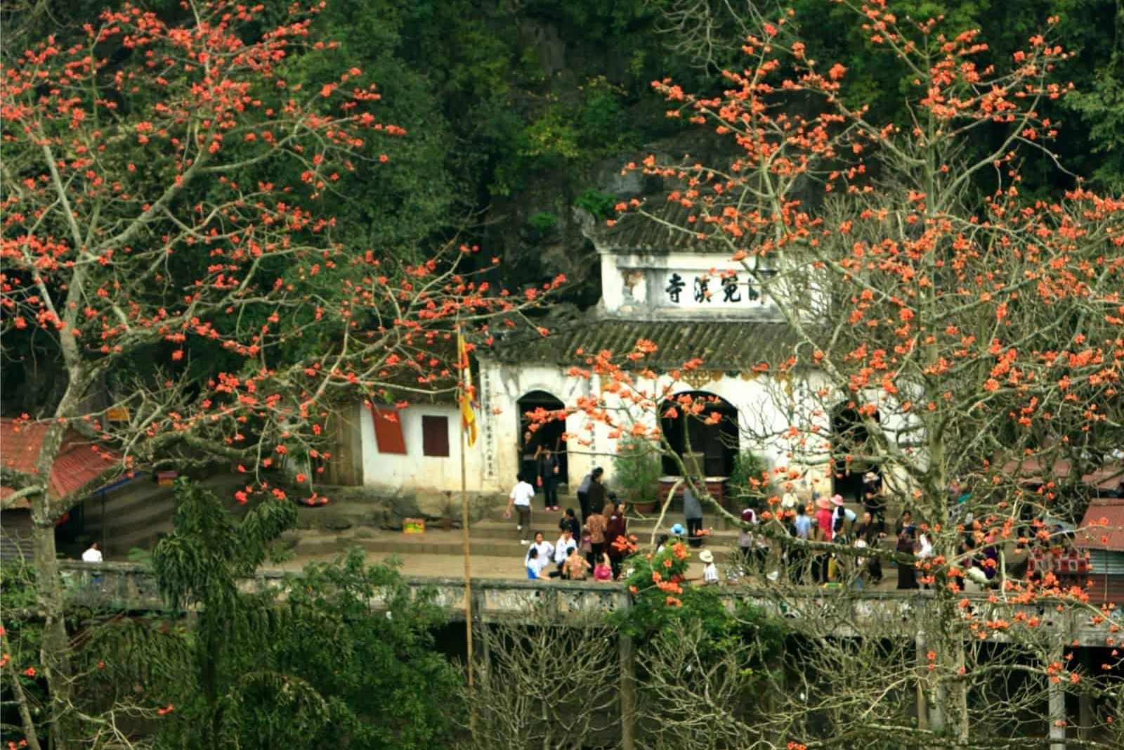 Tour Du Lịch Chùa Hương – Hà Nội 1 Ngày: Thả Hồn Trong Khung Cảnh Non Nước Hữu Tình