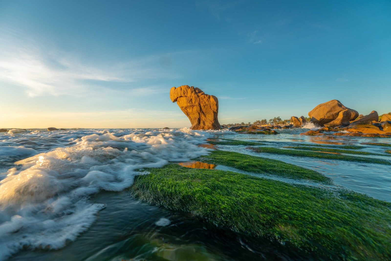 Tour Biển Cổ Thạch Ninh Thuận: Khám Phá Ninh Chữ – Trùng Sơn Cổ Tự 3N2Đ