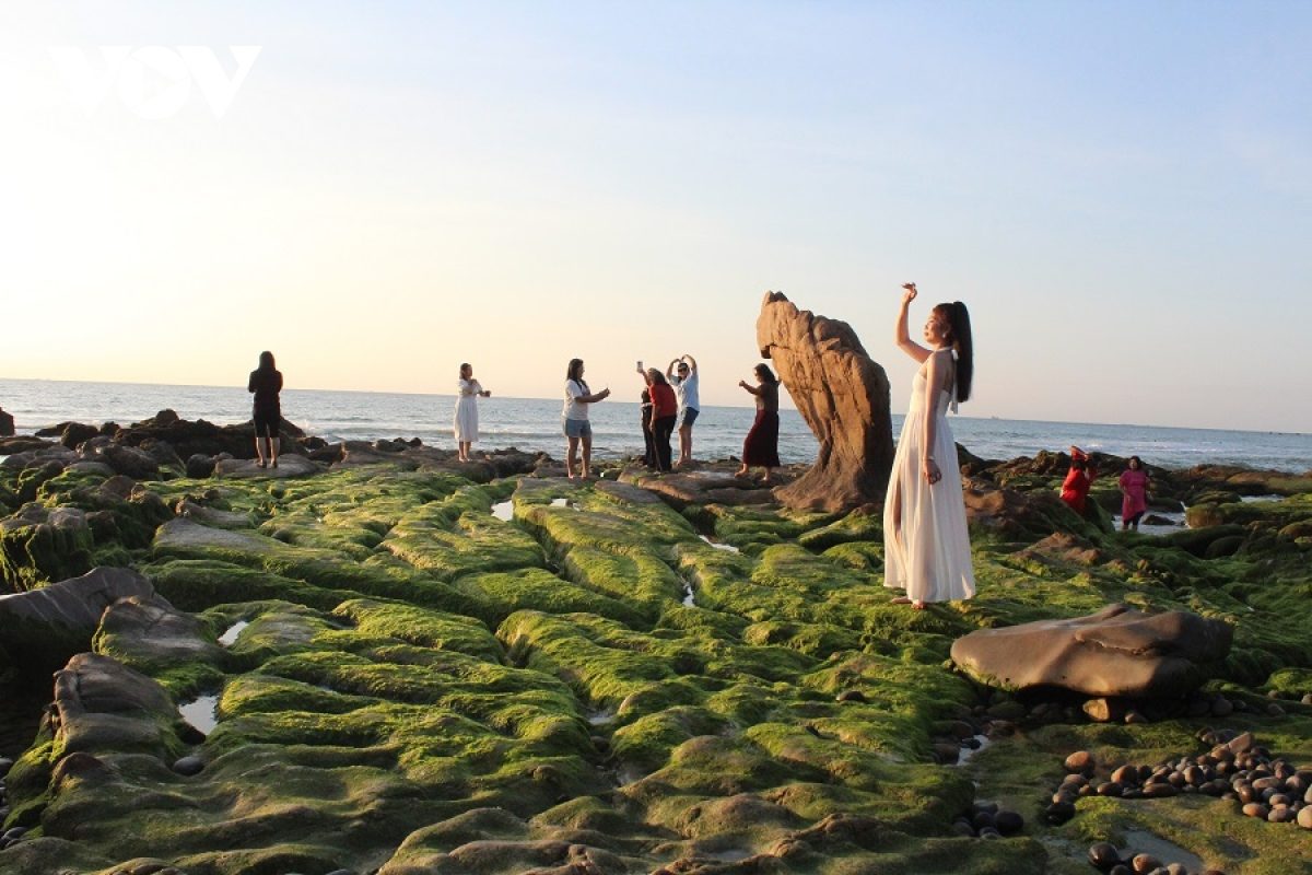 Tour Du Lịch Hòn Cò Cà Ná – Cổ Thạch: Chinh Phục Sóng Biển 3 Ngày 2 Đêm