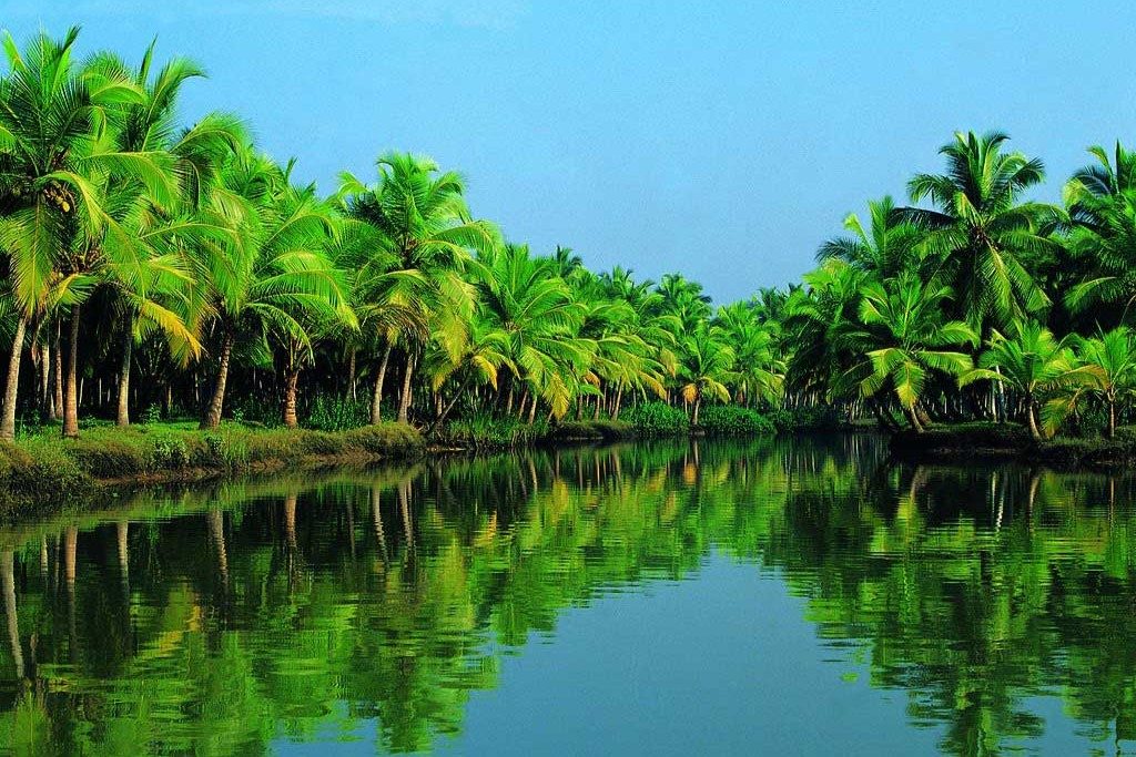Tour Cần Thơ – Bến Tre – Mỹ Tho 1 Ngày: Sắc Màu Miền Tây
