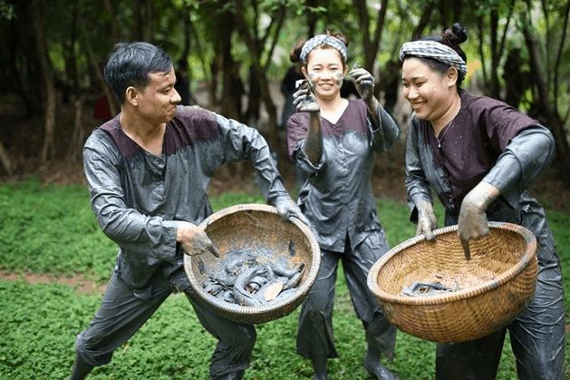 Tour Team Building Khu Du Lịch Lan Vương Bến Tre 1 Ngày