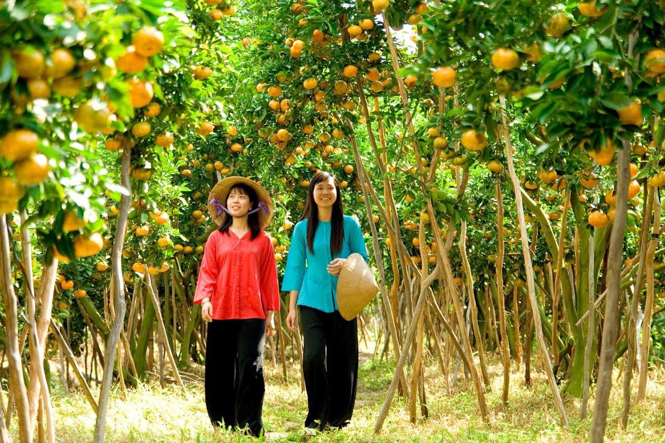 Nha Trang – Khanh Hoa Nhan Tam Eco-Tourism Area Tour: A Green Experience
