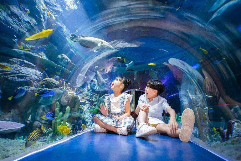ハノイ – ニャチャン3日間2泊ツアー：チーグエン水族館探訪