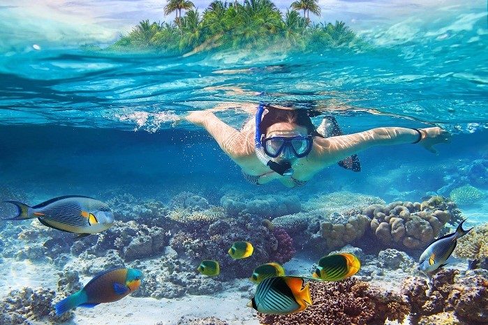 Tour Du Lịch Nha Trang – Đà Lạt 7N6Đ: Biển Xanh – Núi Cao