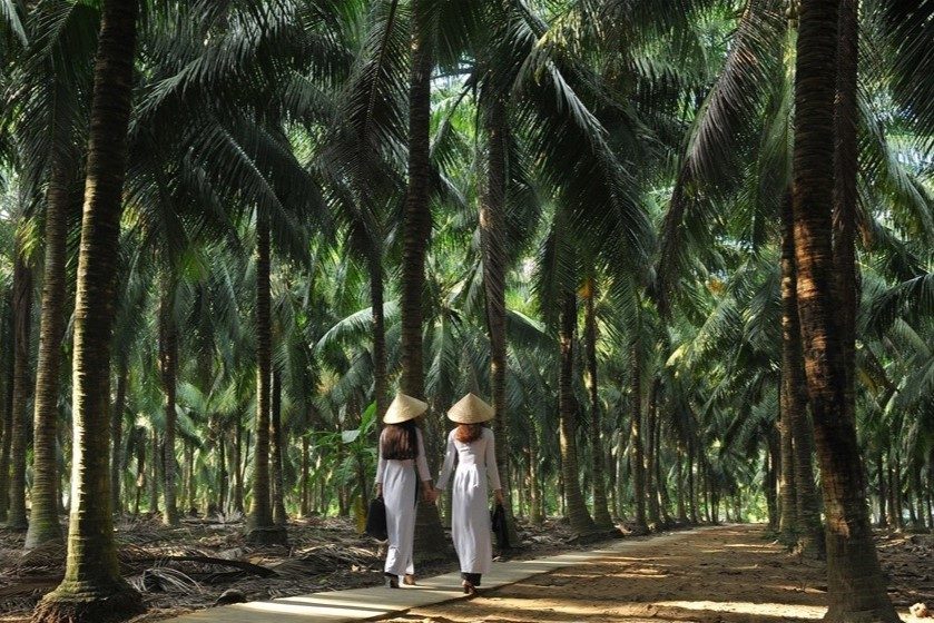 Tour Du Lịch Miền Tây Trong Ngày: Sinh Thái Hấp Dẫn Tại Vùng Đất Mỹ Tho – Bến Tre