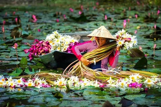 Tour del Delta del Mekong di 3 giorni e 2 notti: alla scoperta dei corsi d’acqua del Mekong
