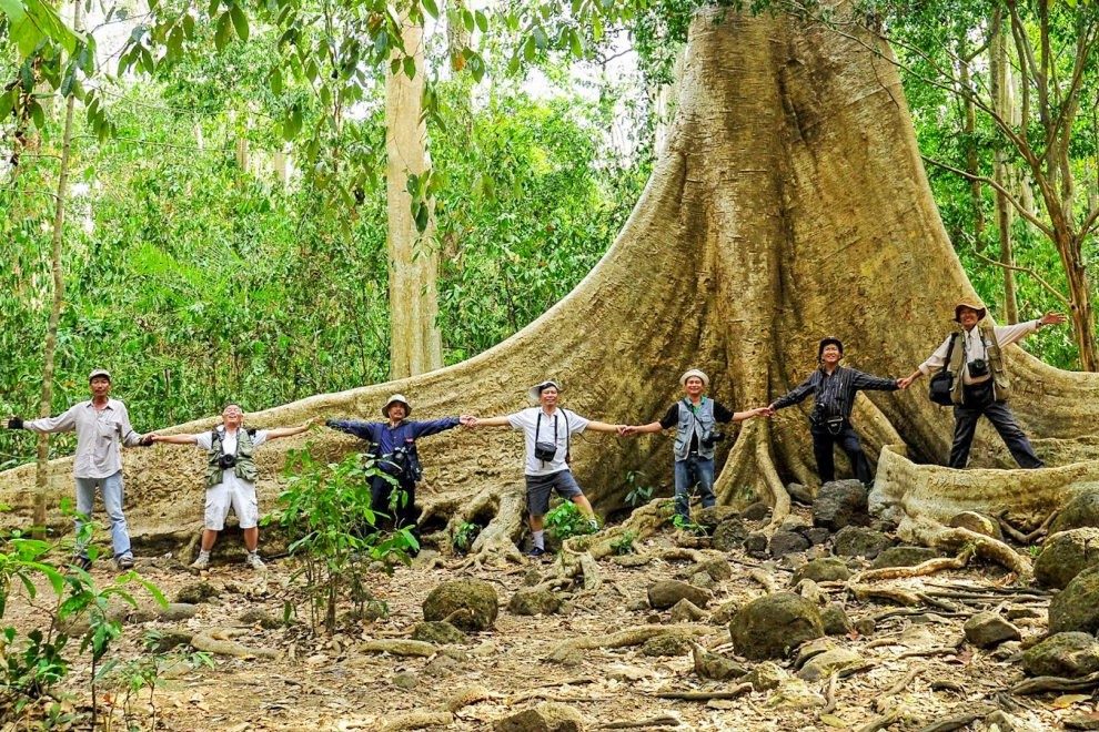 Tour Du Lịch Vườn Quốc Gia Cát Tiên 2 Ngày 1 Đêm: Trải Nghiệm Ngắm Thú Đêm Độc Đáo