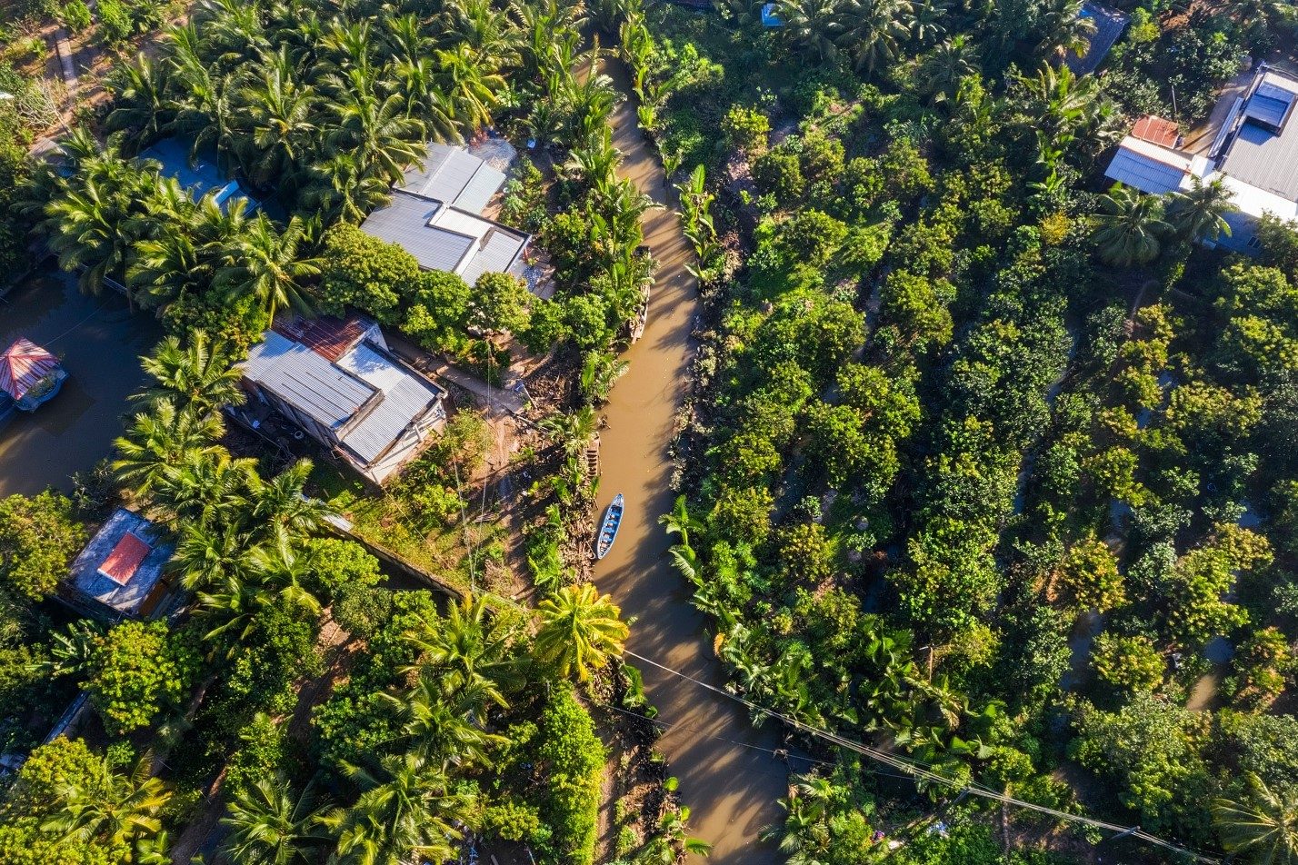 Tour Cồn Phụng Bến Tre – Điểm Đến Hấp Dẫn Xứ Dừa