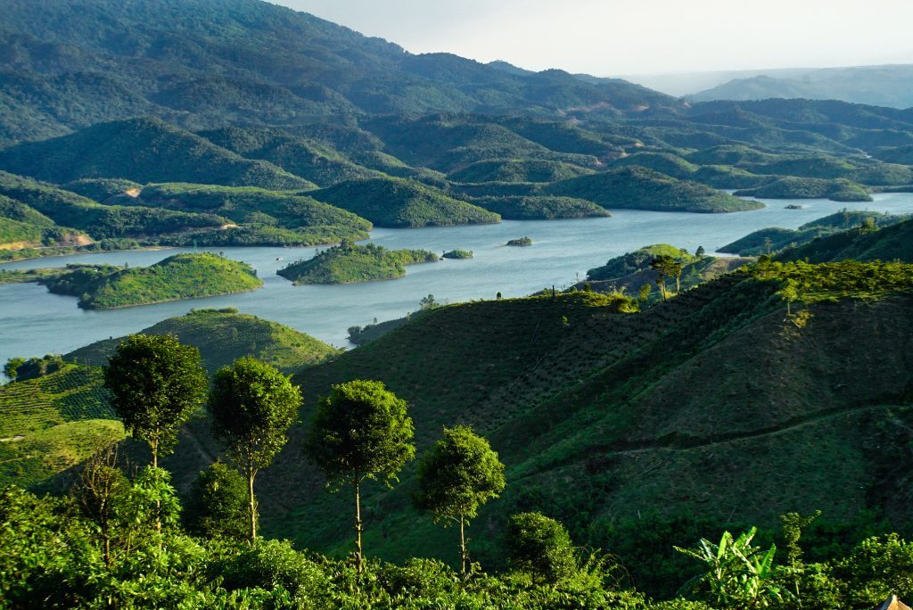Tour Tà Đùng – Hành Trình Trekking Khám Phá Đại Ngàn
