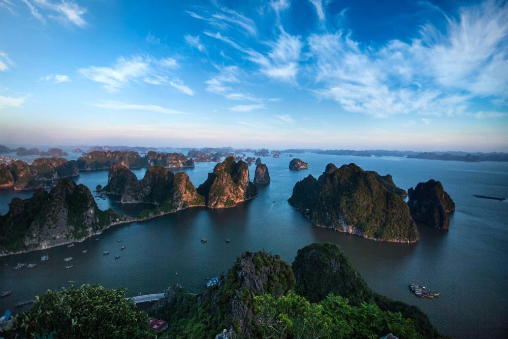 Tour Thăm Vịnh Hạ Long 4 Tiếng: Ngắm Trọn Hạ Long