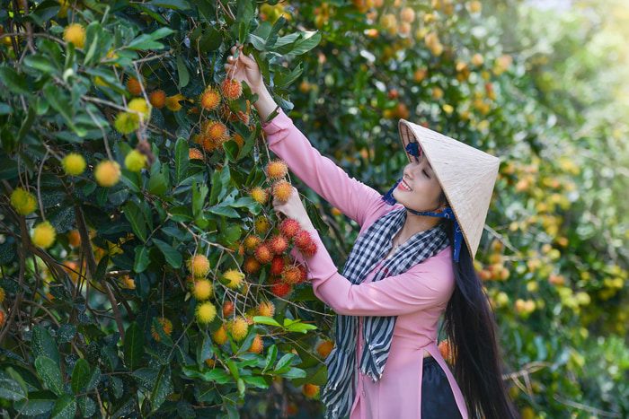 Tour Miệt Vườn Sóc Trăng: Hương Vị Đồng Quê