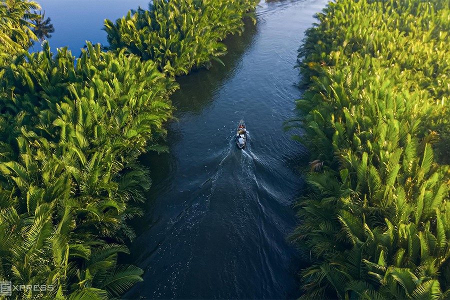 Tour Du Lịch Quảng Ngãi: Một Ngày Ở Rừng Dừa Nước Mỹ Khê