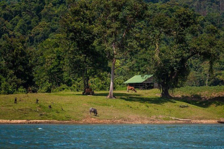 Tour Phố Núi Sông Hinh – Hành Trình Về Nguồn Cội Núi Rừng Phú Yên