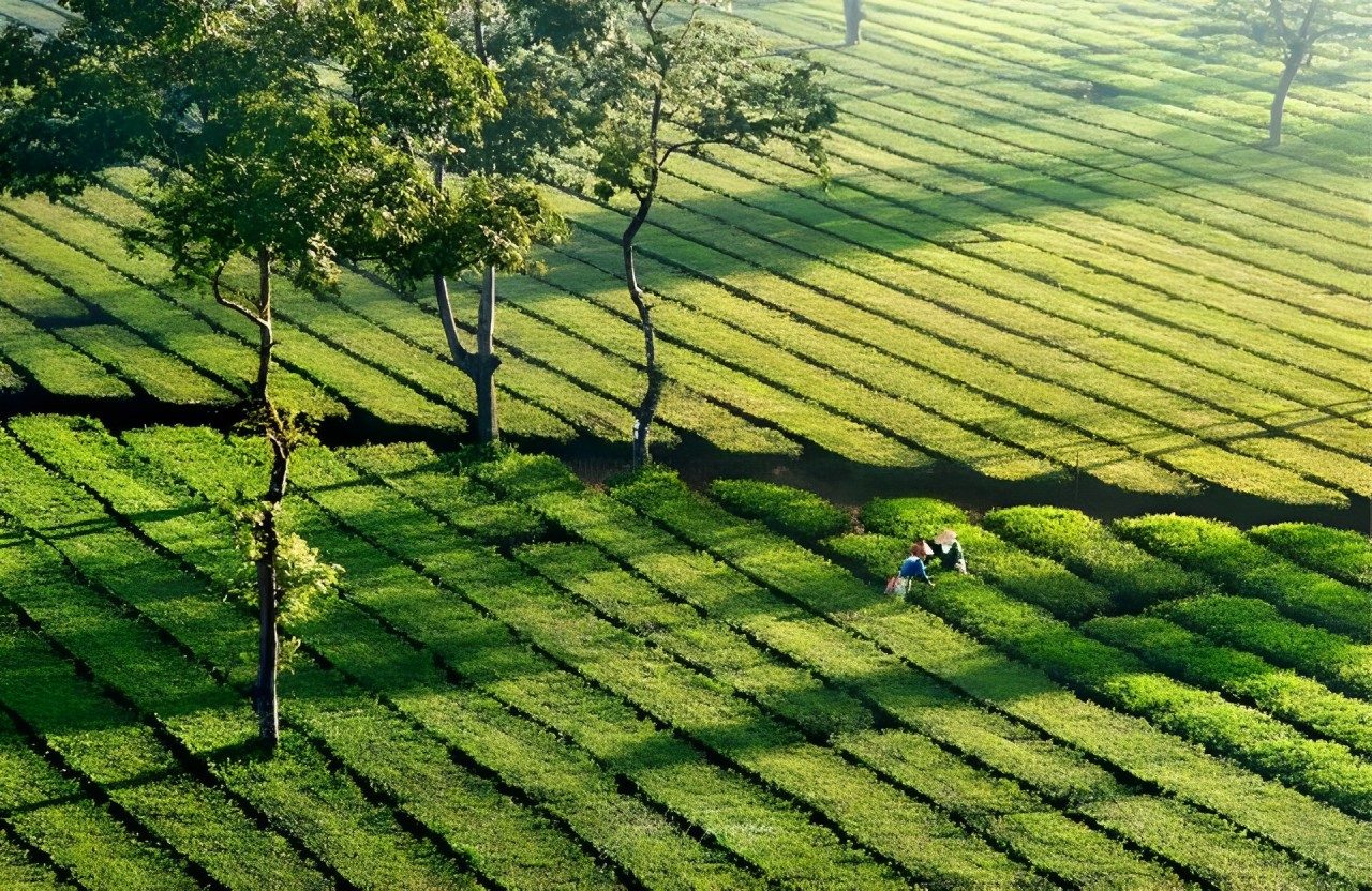 Circuit découverte de Pleiku – Kon Tum 3J3N – Au cœur des montagnes et forêts des hauts plateaux du Centre