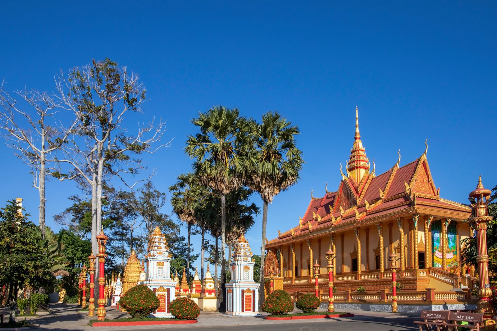 Tour Khách Đoàn: Sài Gòn – Cần Thơ – Bạc Liêu – Khám Phá Miền Tây