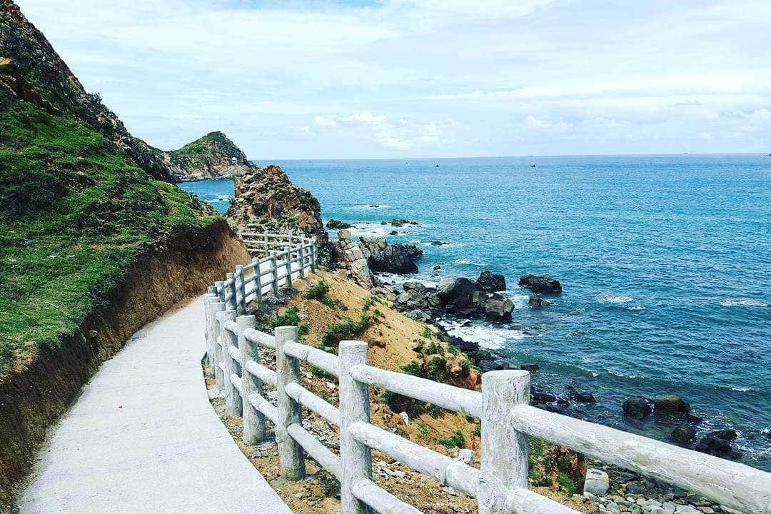 Tour Du Lịch Quy Nhơn 2 Ngày 1 Đêm: Giải Mã Sức Hút Thành Phố Biển Xinh Đẹp