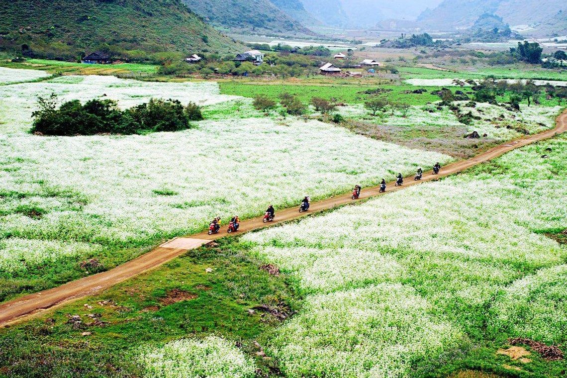Tour Du Lịch Tà Xùa 3 Ngày 2 Đêm Từ Hà Nội – Hành Trình Mộc Châu & Bắc Yên