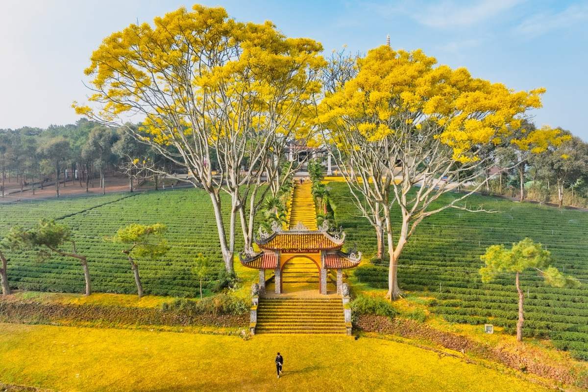 Tour Bảo Lộc – Linh Quy Pháp Ấn: Nét Đẹp Thiền Tự Giữa Mây Trời