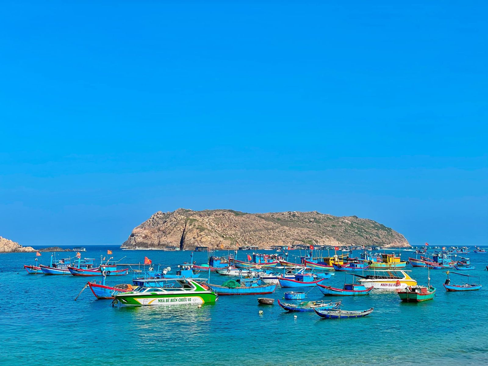 Tour Du Lịch Hòn Khô – Quy Nhơn Nửa Ngày: Khám Phá “Khu Rừng” Dưới Nước
