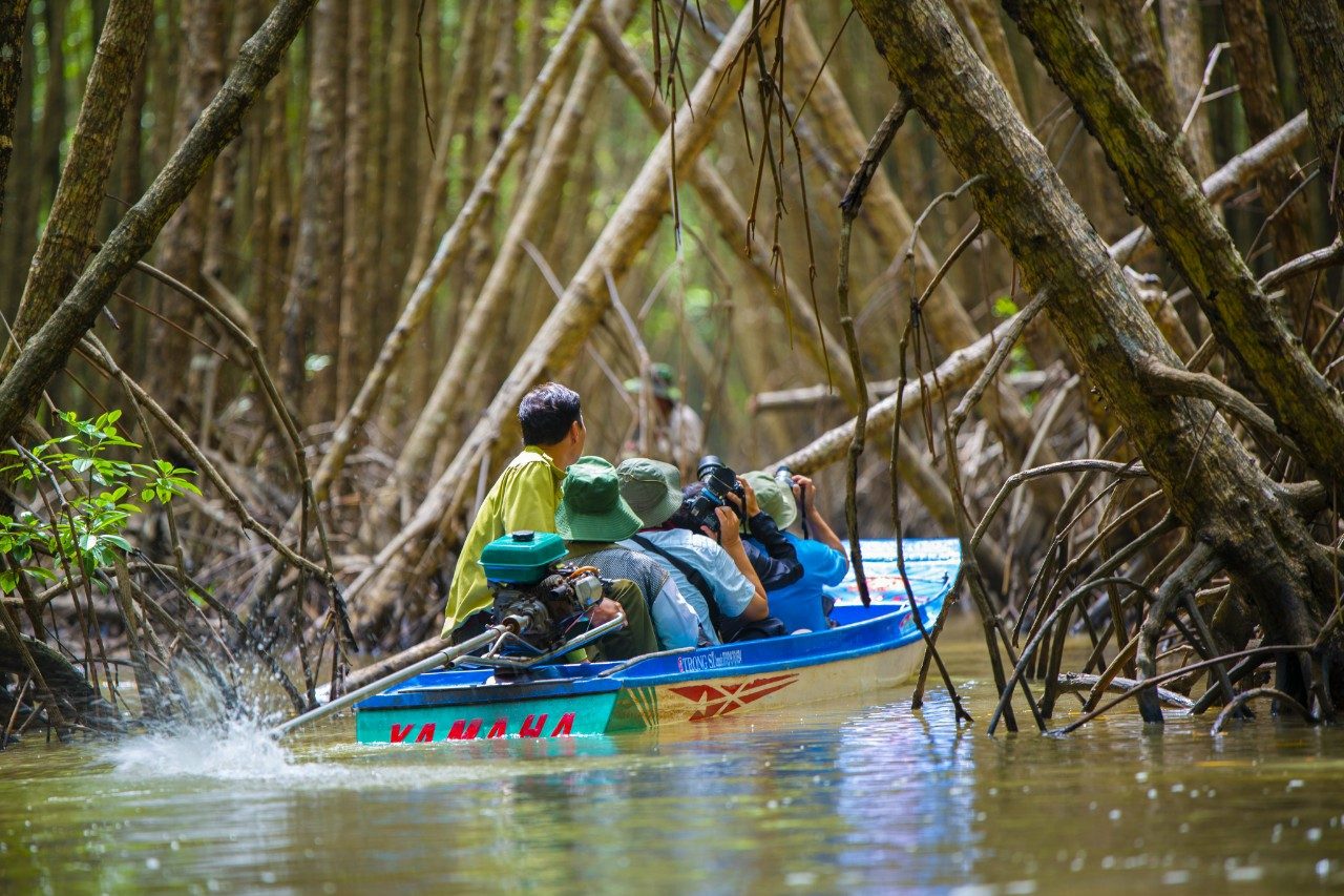 Tour Du Lịch Đất Mũi Cà Mau 1 Ngày: Vùng Đất Cuối Trời Nam