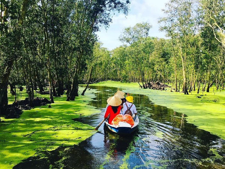 Tour Du Lịch Rừng U Minh Hạ – Cà Mau 1 Ngày: Check-in Cung Đường Xuyên Rừng