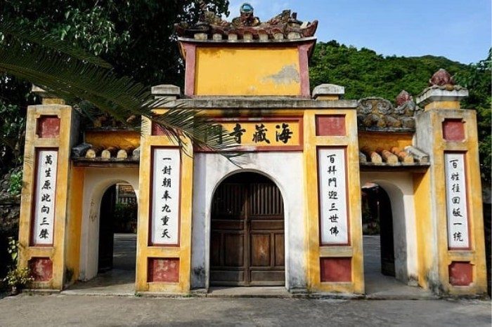 Tour Lặn Ngắm San Hô Cù Lao Chàm – Đắm Chìm Trong Vẻ Đẹp Biển Cả