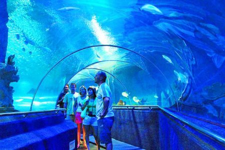 Tour Du Lịch 4 Đảo Nha Trang 1 Ngày: Biển Cả Mời Gọi
