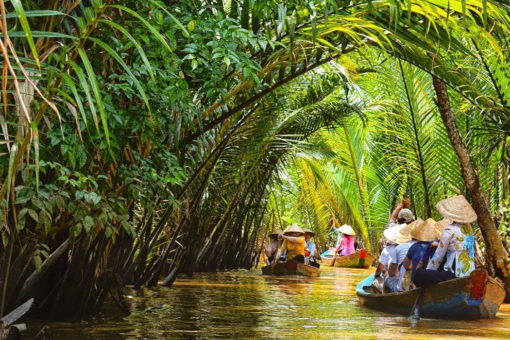 Tour Cồn Phụng und Cồn Thới Sơn: Eine Reise durch die Flusslandschaft von Bến Tre