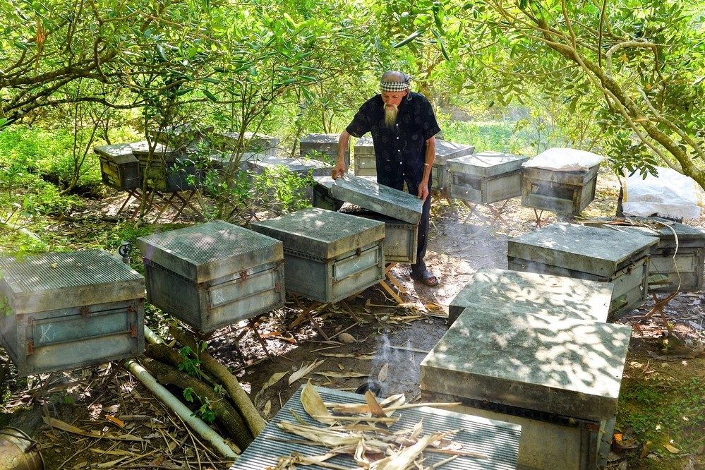 Tour Bến Tre 1 Ngày Giá Rẻ Siêu Tiết Kiệm – Xuất Phát Từ Sài Gòn