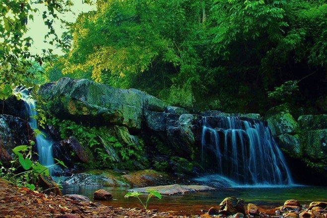 Excursion d’une journée à la zone touristique de Suối Mỡ, Bắc Giang : la nature vous appelle