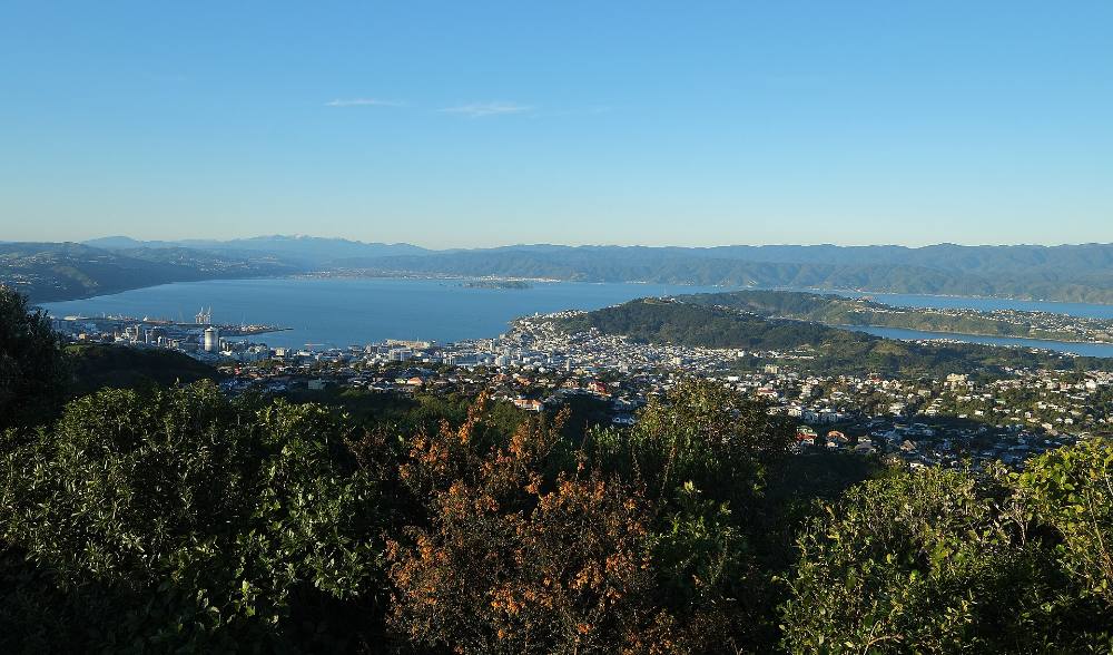 Tour a pé gratuito em Wellington – Capital do porto, Cuba Street e cultura criativa